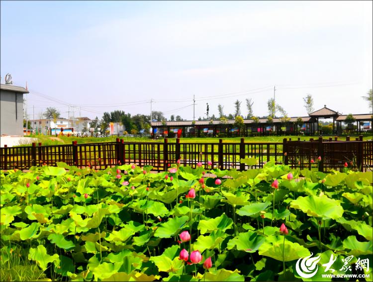 好去处 邀你共赴丰收之约_今日头条_大众网AG真人游戏地址国庆寻趣田园间 菏泽休闲(图6)