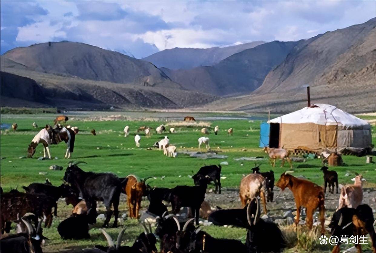 没有一个吱声蒙国总理感慨还是中国最可靠AG真人2025年蒙古国遭灾三个邻国(图4) 没有一个吱声蒙国总理感慨还是中国最可靠AG真人2025年蒙古国遭灾三个邻国(图4)