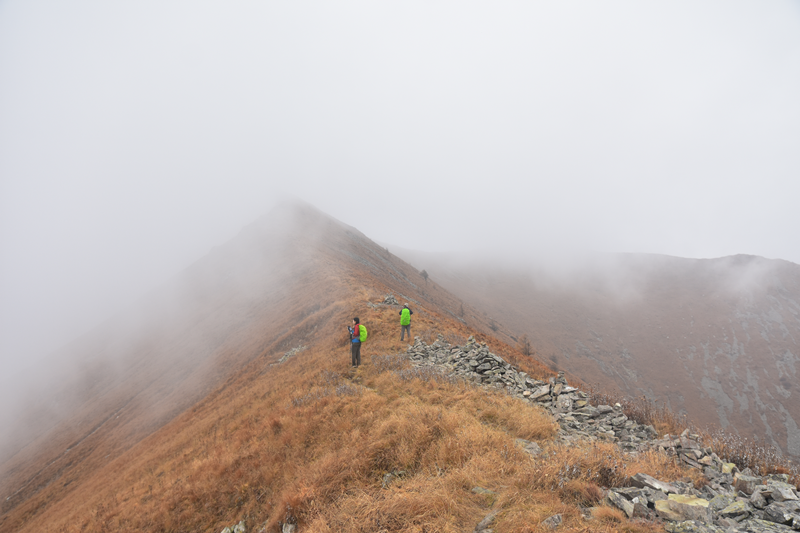 故！你以为的“诗和远方”可能是在拿命试错AG真人app调查｜连发多起死亡、失联事(图1)