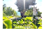 想走” 纳雍露营地火爆出圈AG真人游戏地